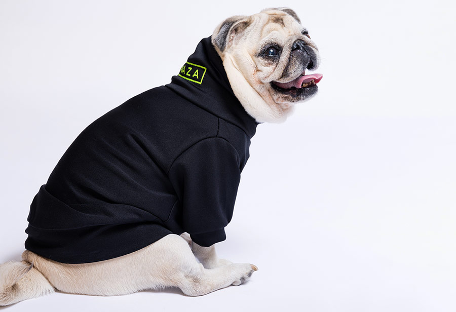 Black Maza Dog Sweater - Image 4