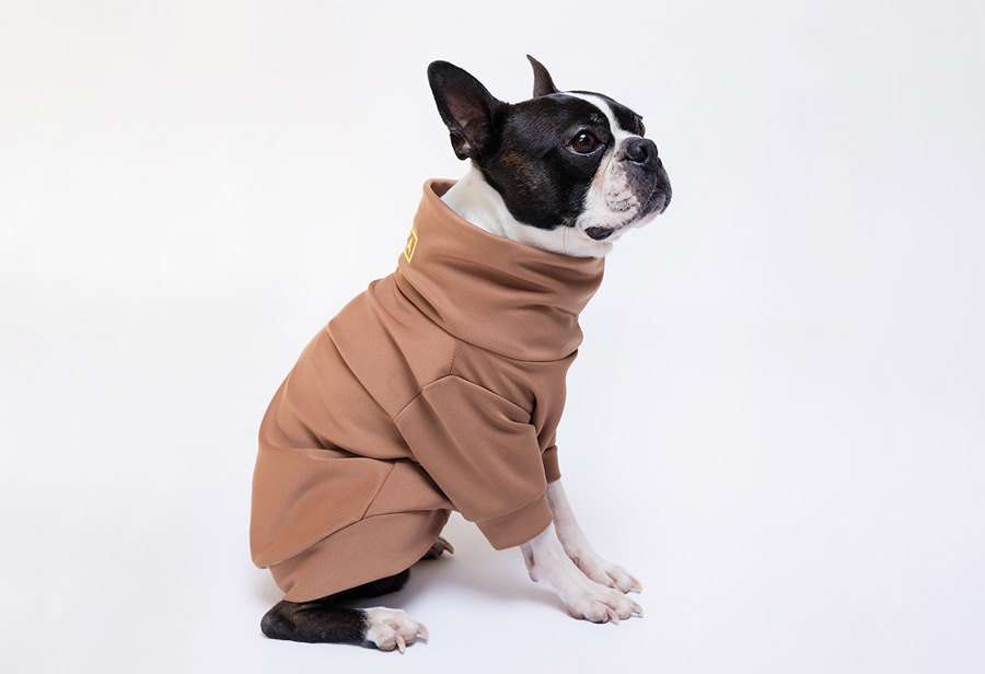 Brown Maza Dog Sweater - Image 4