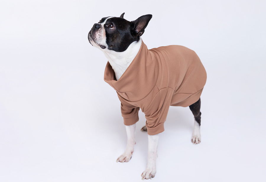 Brown Maza Dog Sweater - Image 3