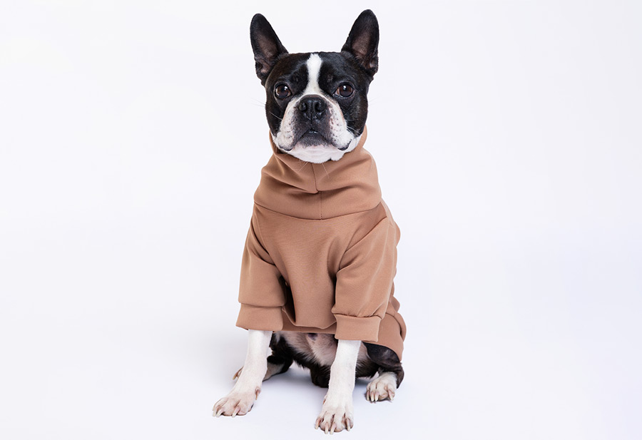 Brown Maza Dog Sweater