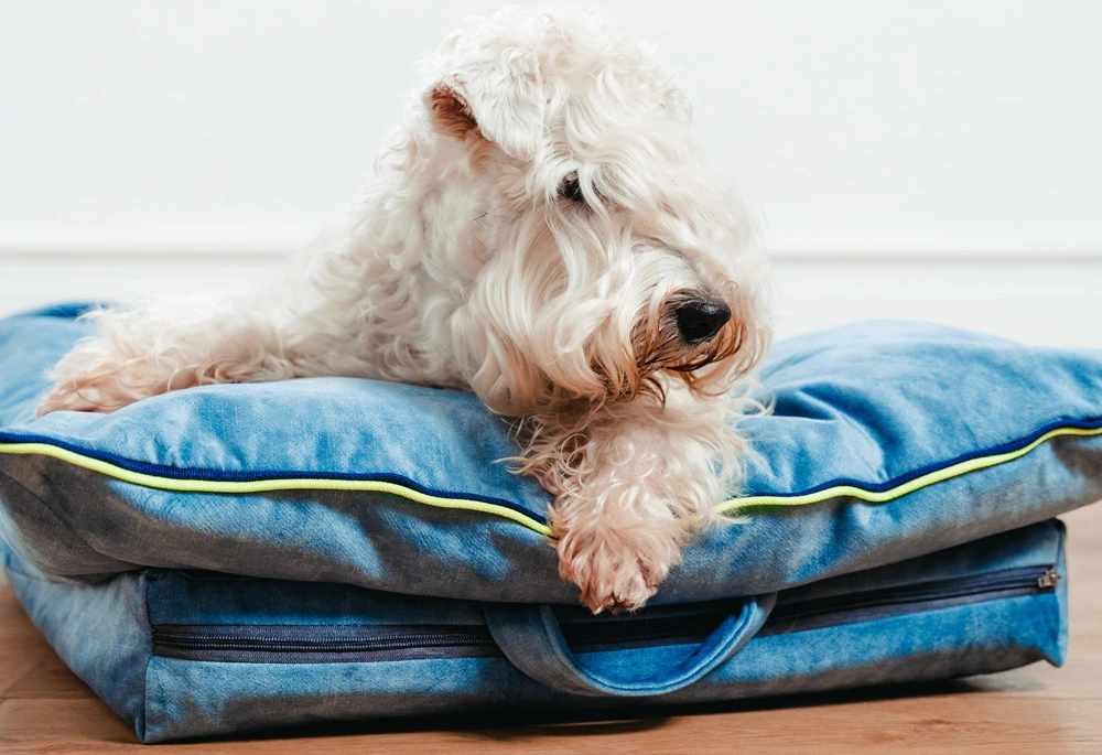 Mushmallow bed 60x80