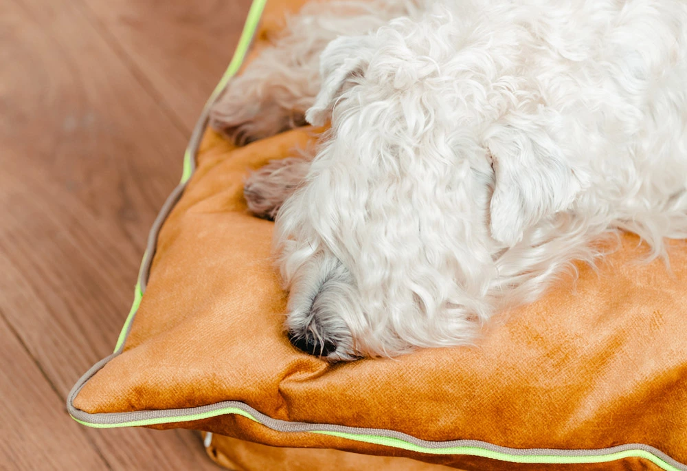 Mushmallow bed 60x80 - Image 4